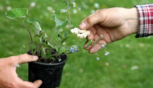 TROC’JARDIN