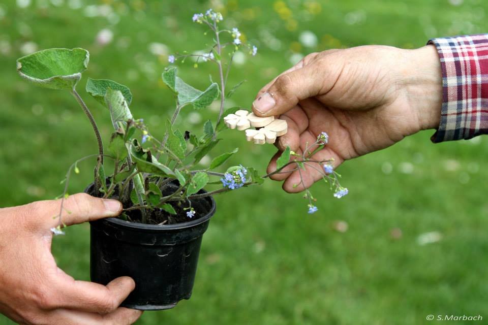 TROC’JARDIN